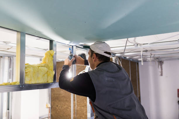 Best Eco-Friendly Insulation in Mclouth, KS