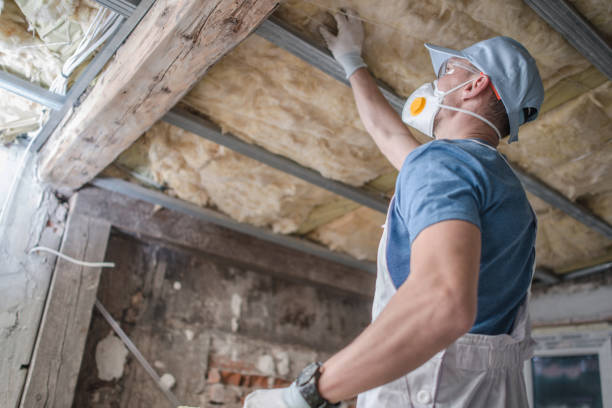 Best DIY Insulation Kits and Guidance in Mclouth, KS