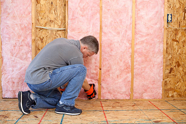 Best Specialized Insulation Services in Mclouth, KS